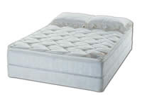 American National Manufacturing Naples Deep Fill Soft-Side Waterbed Mattress