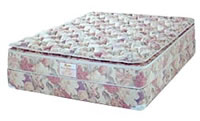 New Century Legacy Premium Deep Fill Soft Side Waterbed Mattress by Land and Sky