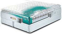 New Century Gallery Nightflight Deep Fill Soft Side Waterbed Mattress by Land and Sky
