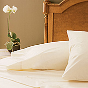 Soft Side Waterbed Mattresses