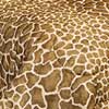 Giraffe Waterbed Sheet Set