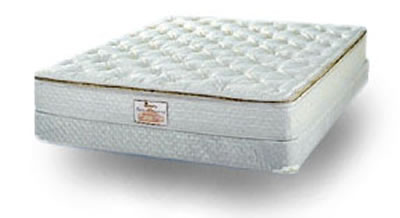 New Century Celeste Premium Deep Fill Waterbed Mattress