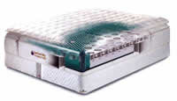New Century Dreamscape with NC 8500 InnerCoil water chamber cutaway view