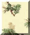 Pine Cones Flannel